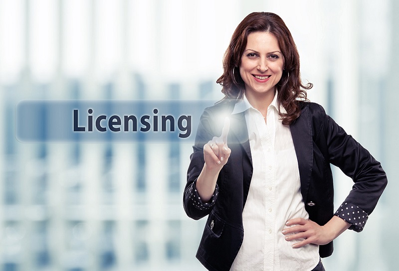 Licensed online casino
