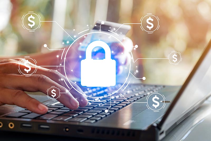 PayAnyWay financial software: key programs